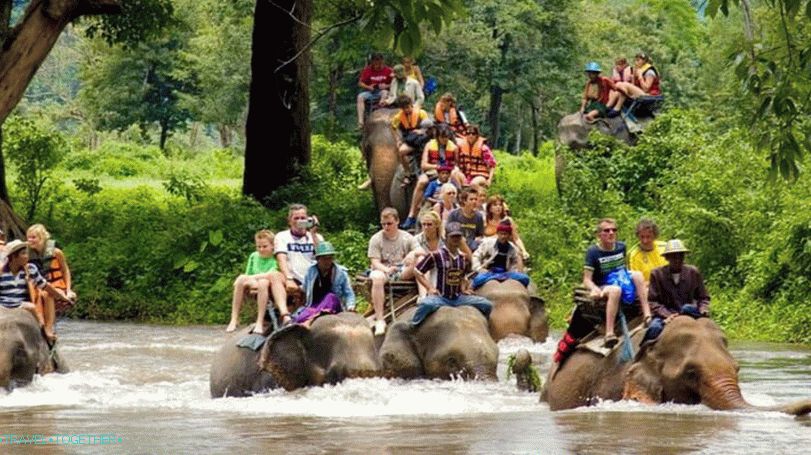 Развлечения в Тайланд - Елефен езда