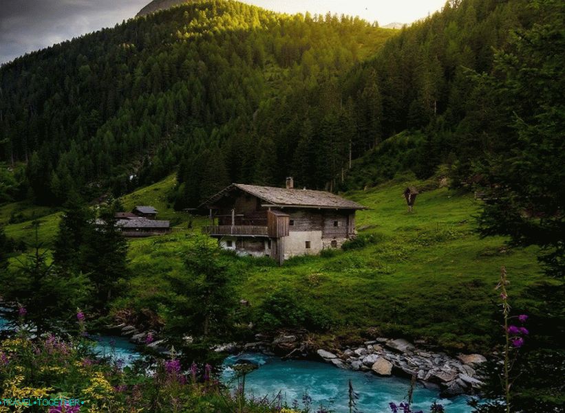 Алпийски природа 