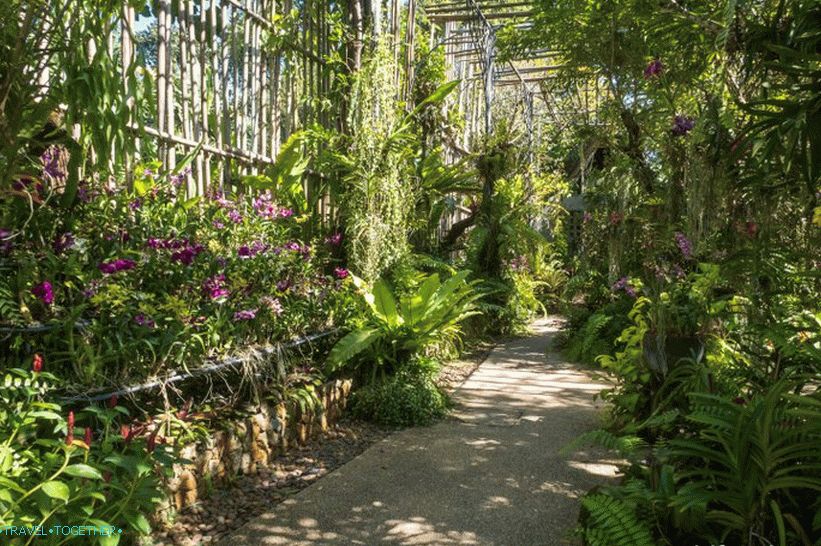 Ботаническа градина в Пукет