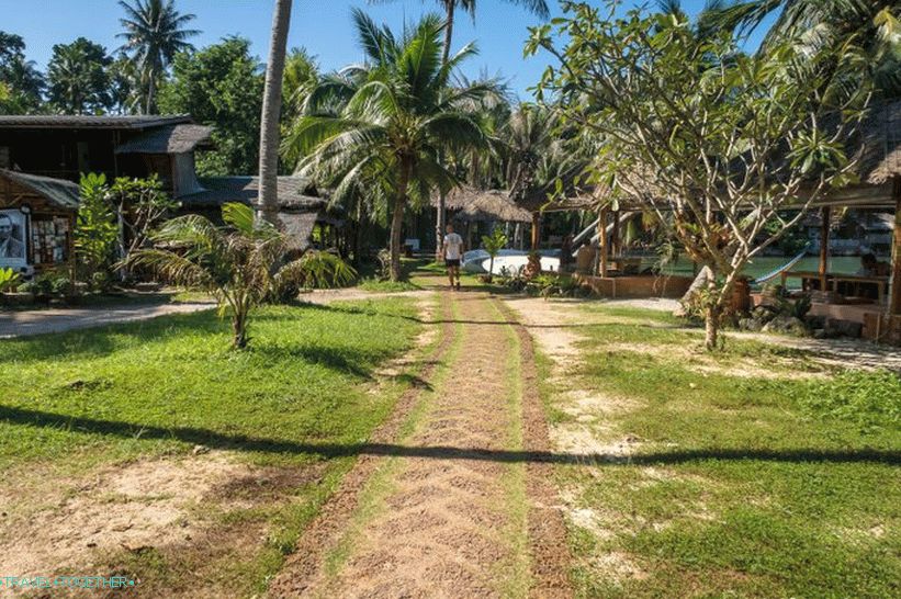 Orion Center on Phangan - вегетарианско кафене, сауна, йога и детоксикация