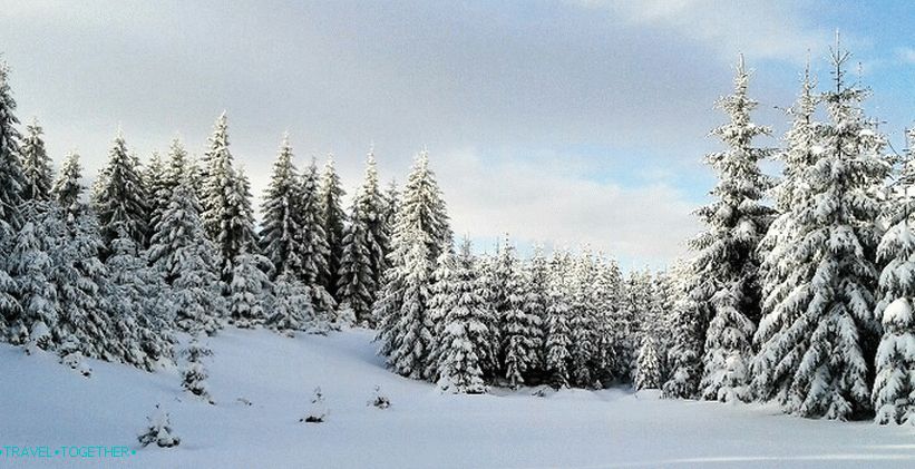 Зимна гора в Чешката република