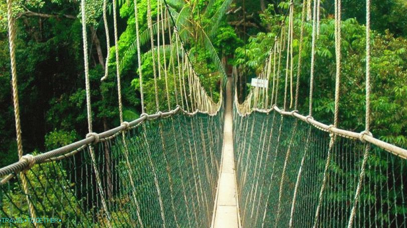 Въжен мост в национален парк Таман-Негара