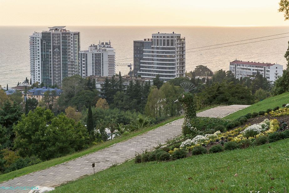 Сочи арборетум, на самия връх