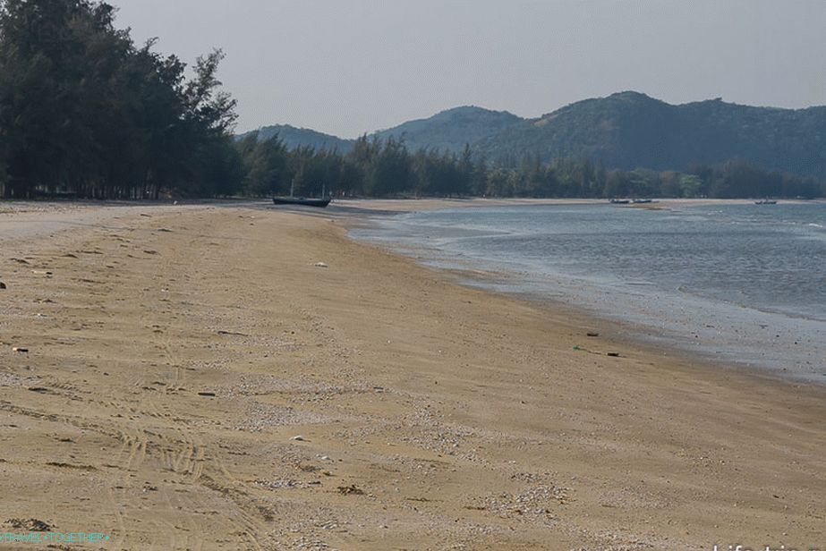 Плажът Dolphin Bay е ограден от борове и палми