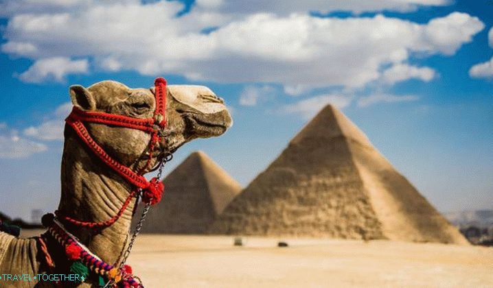 Къде е по-добре да се отпуснете в Египет през 2019 г.