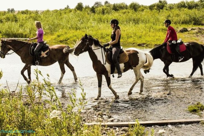 Село Должанская, вземи уроци по езда