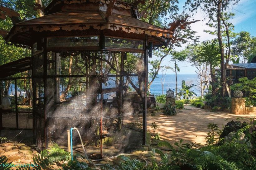 Cafe Monkey Bar на Phi Phi - за интроверти и срещи