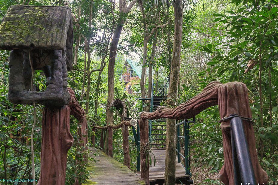 Treehouse-16