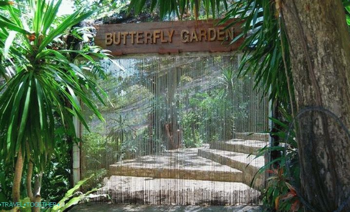 Тайланд, градина с пеперуди