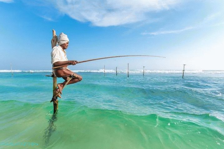 Шри Ланка, местните риби-роби седят на стълбове