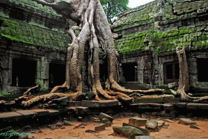 Камбоджа, Та Пром - древен храм, където са заснели филм за Лара Крофт