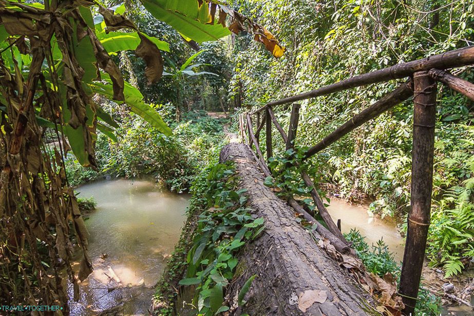 Мостът някъде в джунглата