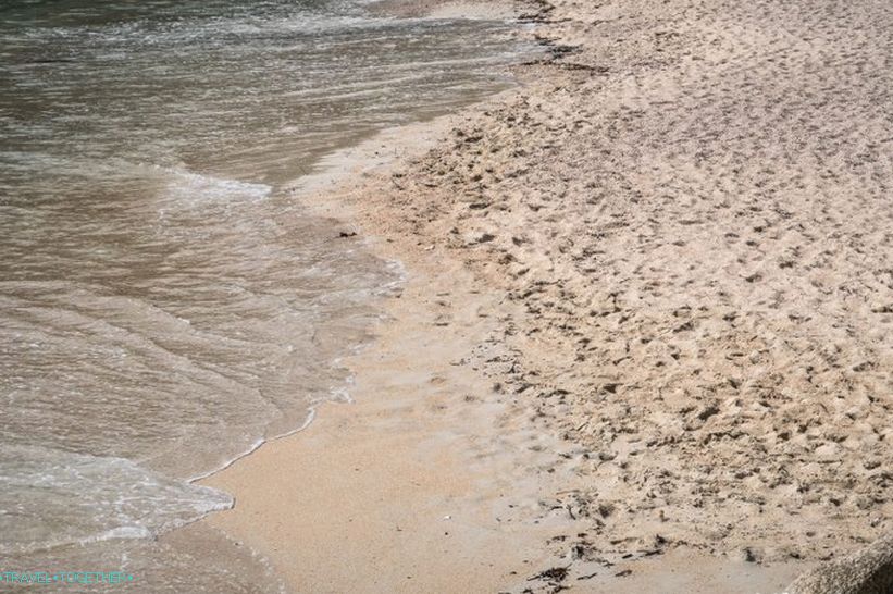 Мокър пясък - сивкаво жълто, вълни измити фрагменти от черупки