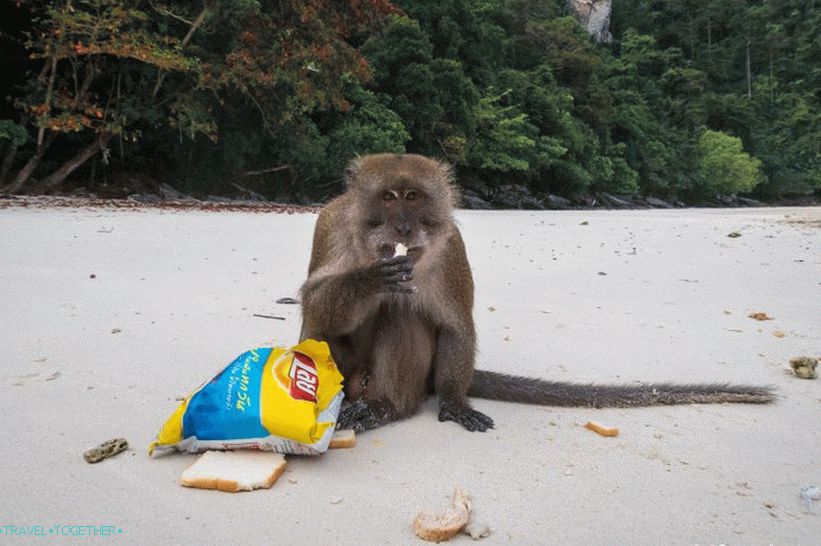 Monkey Beach Beach - Маймунски рай на Фи Фи Дон