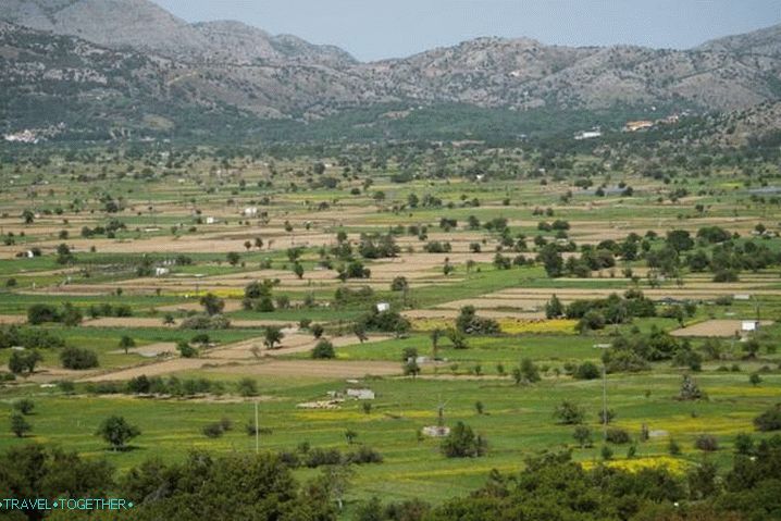 Крит, плато Ласити