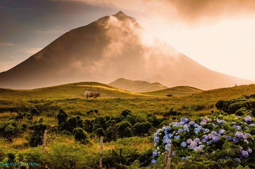 Вулкан ът Пико на Азорските острови - най-високата точка на Португалия