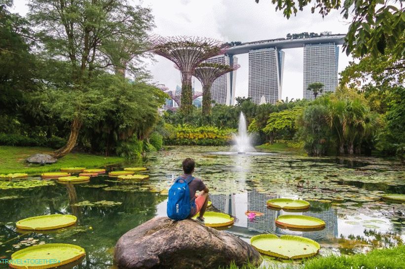 Градини край залива в Сингапур - основната атракция