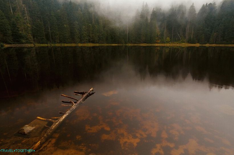 Езера от дива черна гора