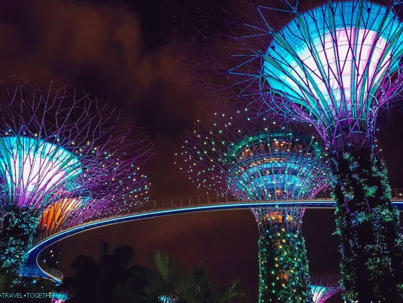 Светлинно шоу с дървета от Аватар в Сингапур - трябва да се види!