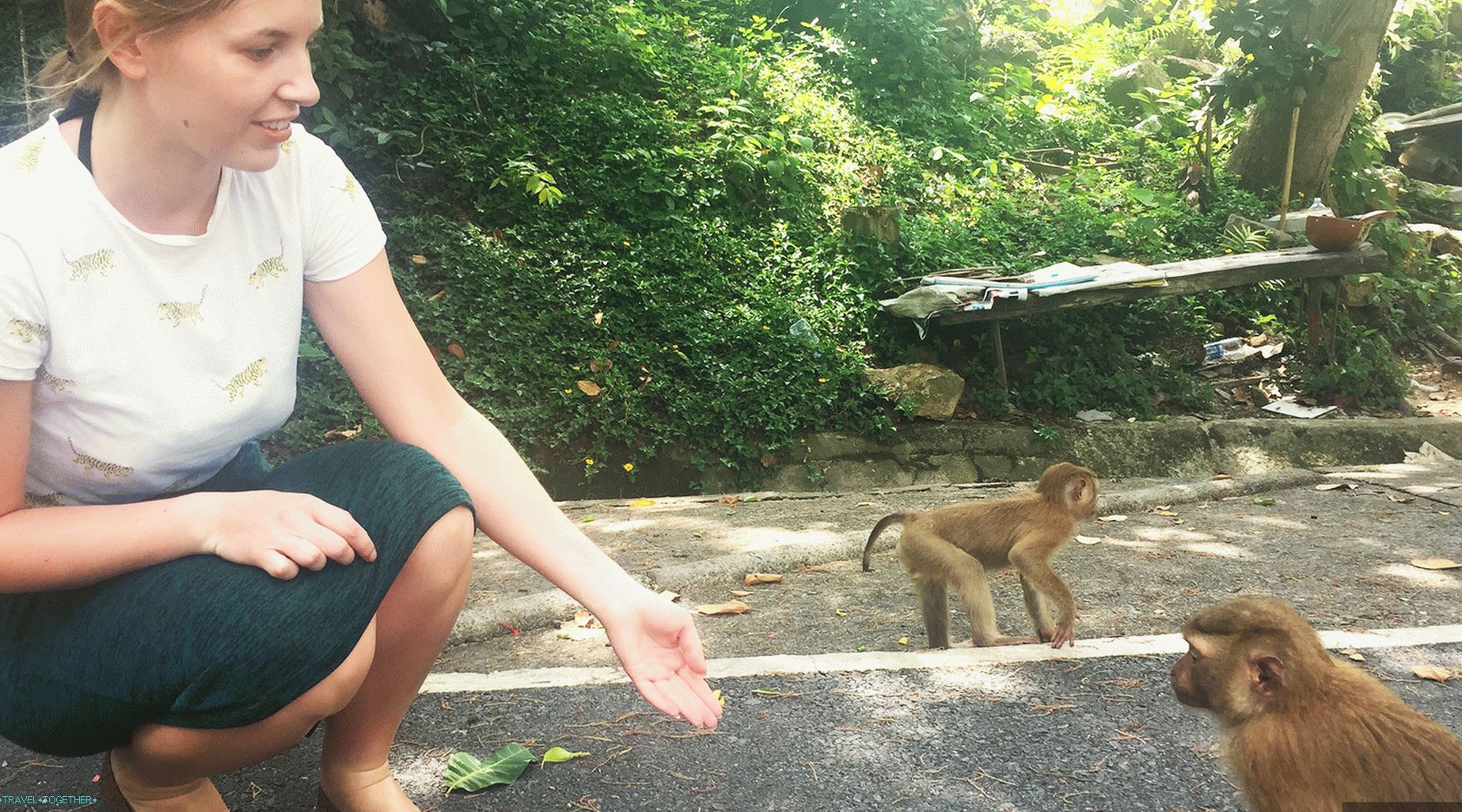 Пътуване до маймуни в Пукет - маймунски хълм