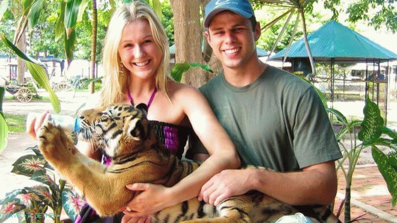 Зоопарк и Аквариум Тигър на Самуи
