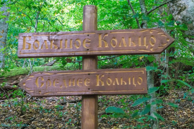 Здравословен път в Роза Хутор - спокойна разходка из гората