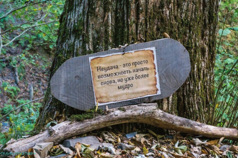 Здравословен път в Роза Хутор - спокойна разходка из гората