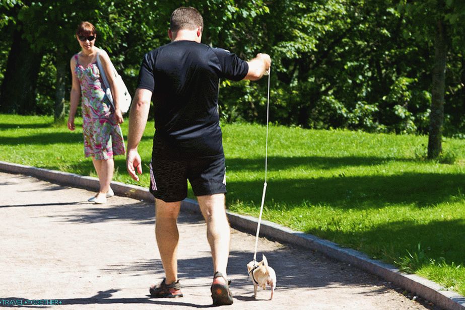 Брутален човек, който върви с куче хамстер