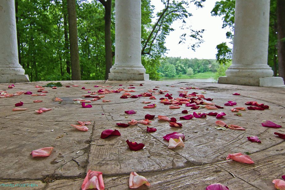 Розови листенца в беседката след сватбата