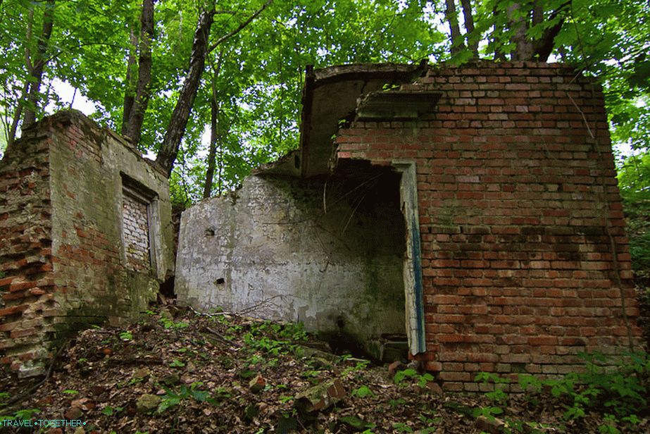 Неразбираеми модерни руини в гората