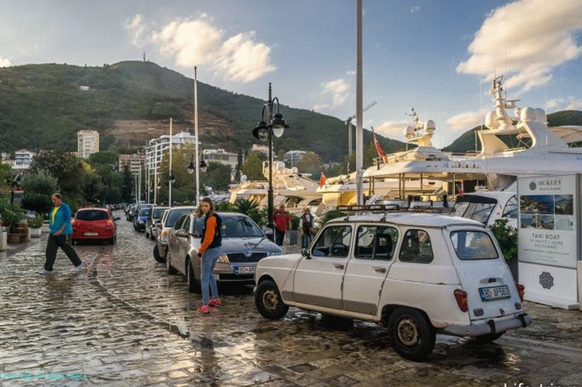 По пътищата има такива рядкости