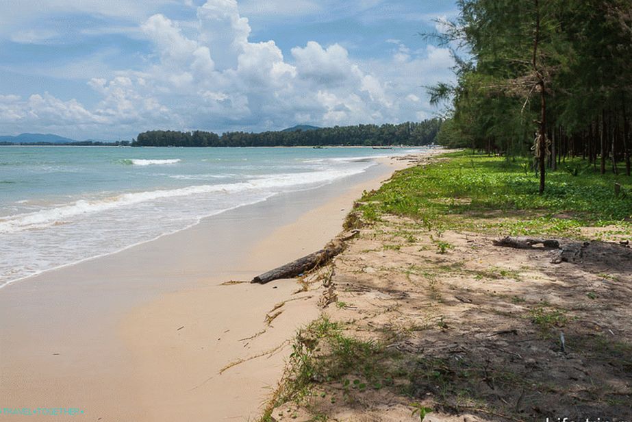 На янг пляж. Наянг Бич Пхукет. Пляж АО Сейн. Naiyang Beach пляж. Пляж Наянг на Пхукете.