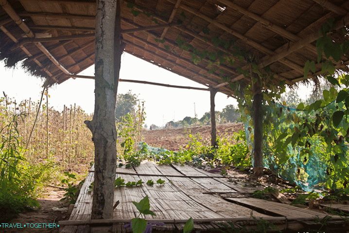 По пътя от Chiang Saen към Златния триъгълник
