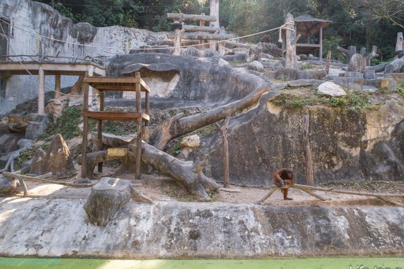 Зоопарк Khao Kheo в Патая - най-добрият в Тайланд
