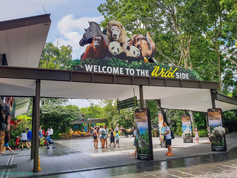 Зоопарк в Сингапур Manday
